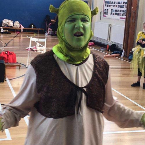 Shrek Costume